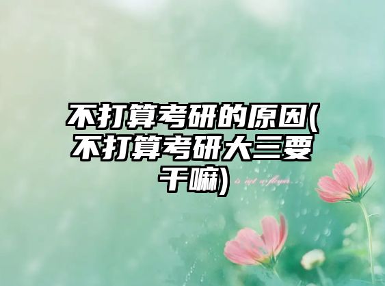 不打算考研的原因(不打算考研大三要干嘛)