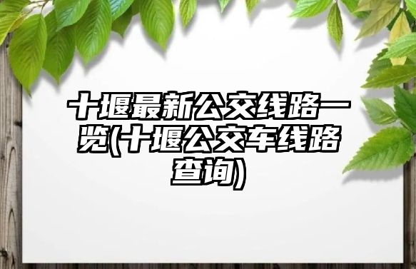 十堰最新公交線路一覽(十堰公交車(chē)線路查詢(xún))