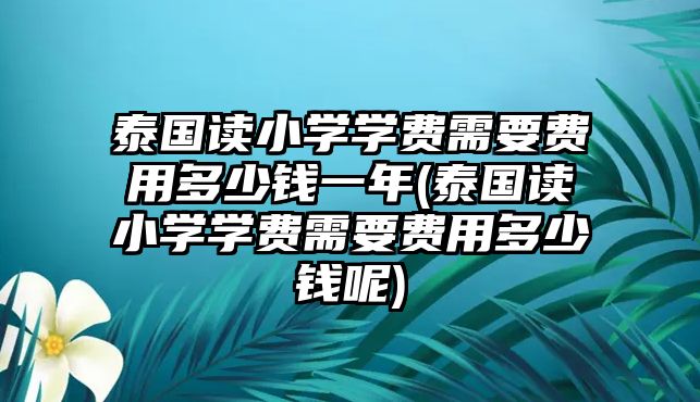 泰國讀小學(xué)學(xué)費(fèi)需要費(fèi)用多少錢一年(泰國讀小學(xué)學(xué)費(fèi)需要費(fèi)用多少錢呢)