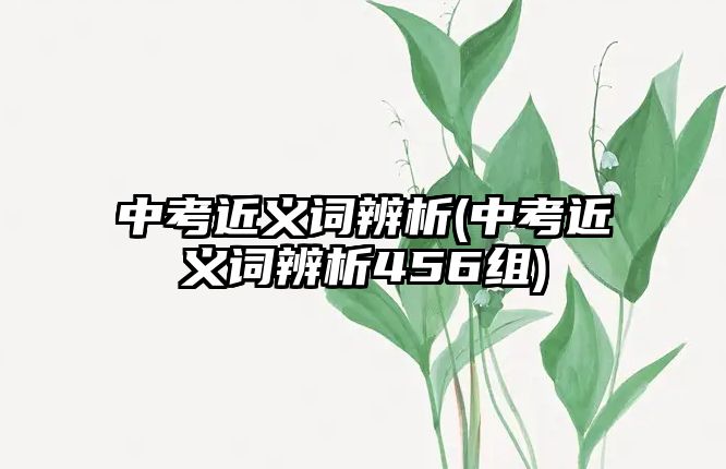 中考近義詞辨析(中考近義詞辨析456組)