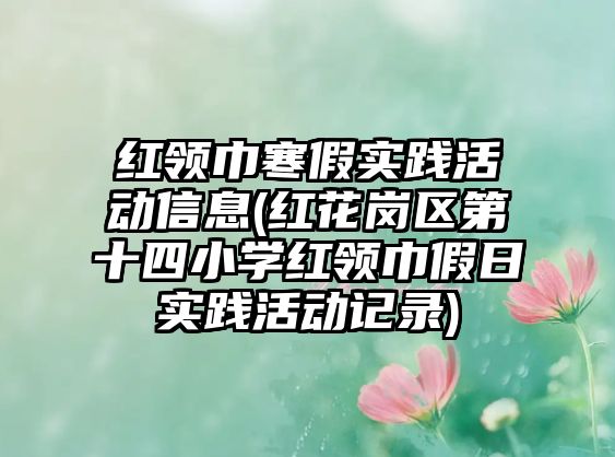 紅領(lǐng)巾寒假實踐活動信息(紅花崗區(qū)第十四小學(xué)紅領(lǐng)巾假日實踐活動記錄)