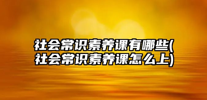 社會常識素養(yǎng)課有哪些(社會常識素養(yǎng)課怎么上)