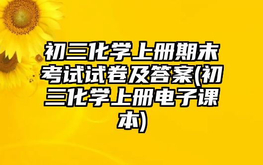 初三化學(xué)上冊(cè)期末考試試卷及答案(初三化學(xué)上冊(cè)電子課本)