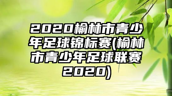 2020榆林市青少年足球錦標賽(榆林市青少年足球聯(lián)賽2020)