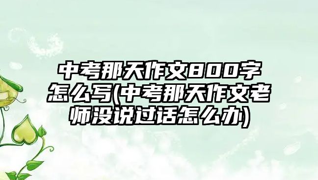 中考那天作文800字怎么寫(xiě)(中考那天作文老師沒(méi)說(shuō)過(guò)話怎么辦)