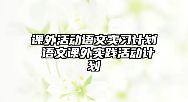 課外活動語文實習(xí)計劃 語文課外實踐活動計劃