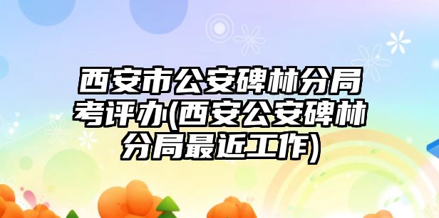 西安市公安碑林分局考評辦(西安公安碑林分局最近工作)