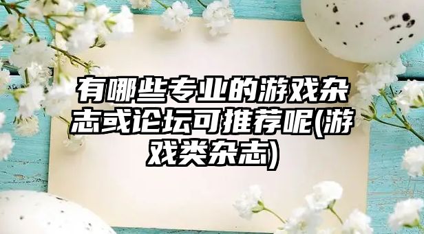 有哪些專業(yè)的游戲雜志或論壇可推薦呢(游戲類雜志)