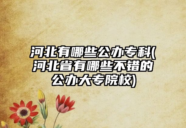 河北有哪些公辦?？?河北省有哪些不錯(cuò)的公辦大專院校)