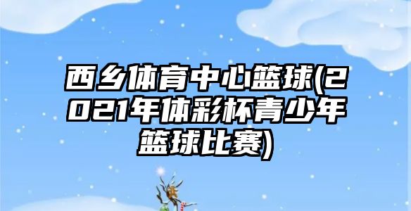 西鄉(xiāng)體育中心籃球(2021年體彩杯青少年籃球比賽)