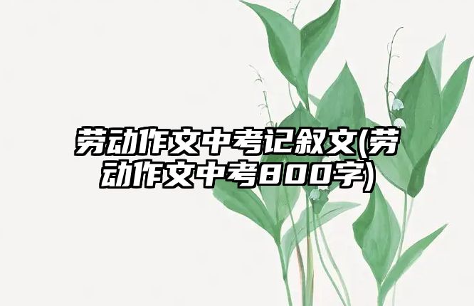 勞動作文中考記敘文(勞動作文中考800字)