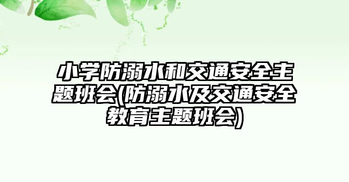 小學(xué)防溺水和交通安全主題班會(huì)(防溺水及交通安全教育主題班會(huì))