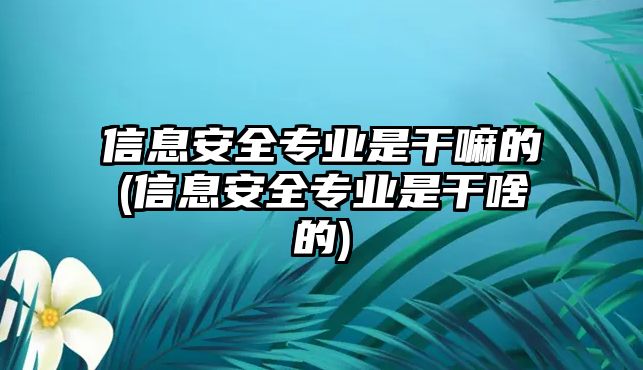 信息安全專業(yè)是干嘛的(信息安全專業(yè)是干啥的)