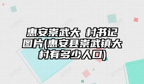 惠安崇武大岞村書(shū)記圖片(惠安縣崇武鎮(zhèn)大岞村有多少人口)