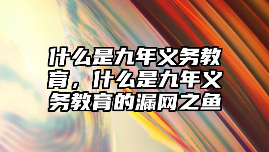 什么是九年義務(wù)教育，什么是九年義務(wù)教育的漏網(wǎng)之魚