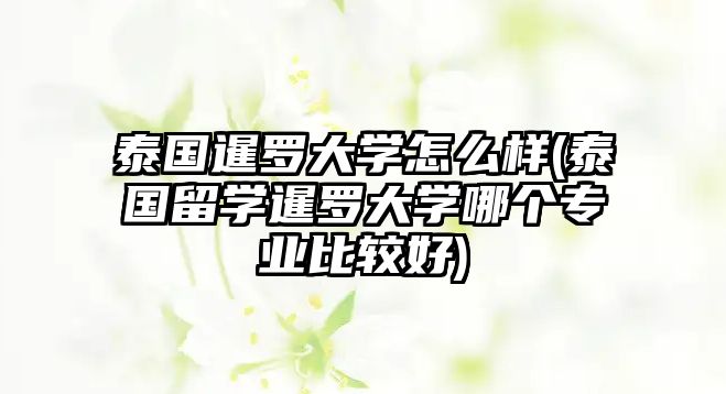 泰國暹羅大學(xué)怎么樣(泰國留學(xué)暹羅大學(xué)哪個專業(yè)比較好)