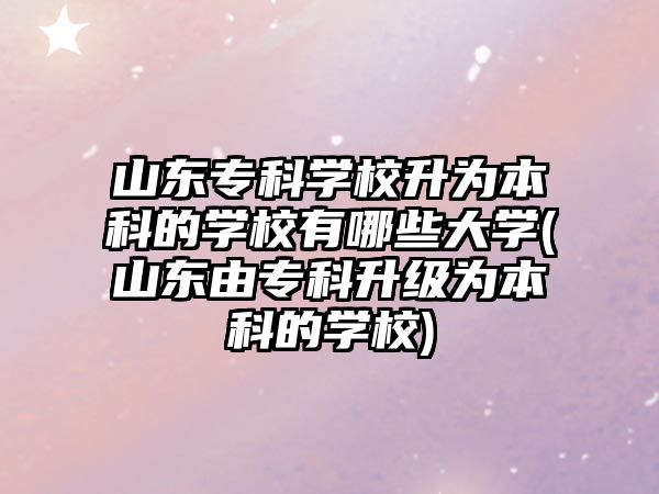 山東?？茖W(xué)校升為本科的學(xué)校有哪些大學(xué)(山東由?？粕墳楸究频膶W(xué)校)