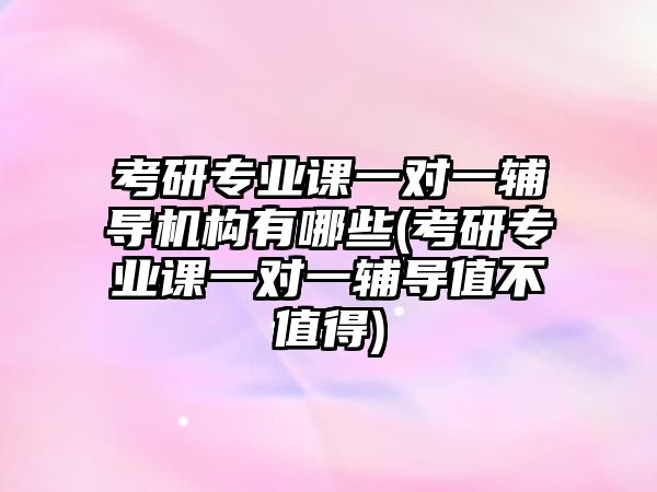 考研專業(yè)課一對一輔導(dǎo)機(jī)構(gòu)有哪些(考研專業(yè)課一對一輔導(dǎo)值不值得)