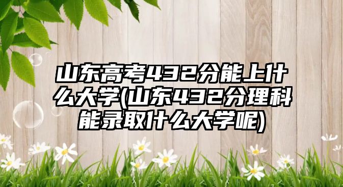 山東高考432分能上什么大學(xué)(山東432分理科能錄取什么大學(xué)呢)