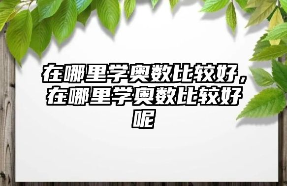 在哪里學(xué)奧數(shù)比較好，在哪里學(xué)奧數(shù)比較好呢