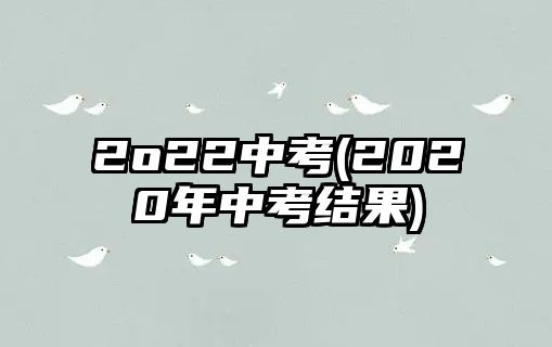 2o22中考(2020年中考結果)