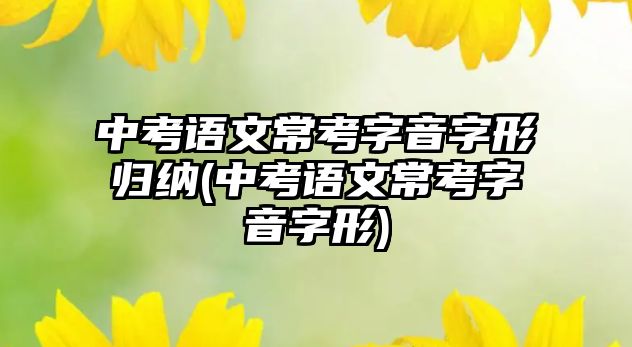 中考語文常考字音字形歸納(中考語文?？甲忠糇中?