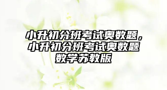 小升初分班考試奧數(shù)題，小升初分班考試奧數(shù)題數(shù)學(xué)蘇教版