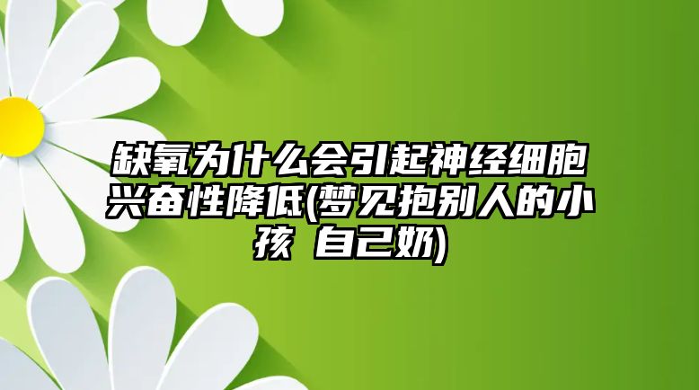 缺氧為什么會(huì)引起神經(jīng)細(xì)胞興奮性降低(夢(mèng)見抱別人的小孩暍自己奶)