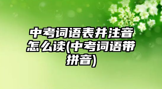 中考詞語表并注音怎么讀(中考詞語帶拼音)