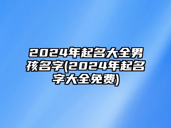 2024年起名大全男孩名字(2024年起名字大全免費)