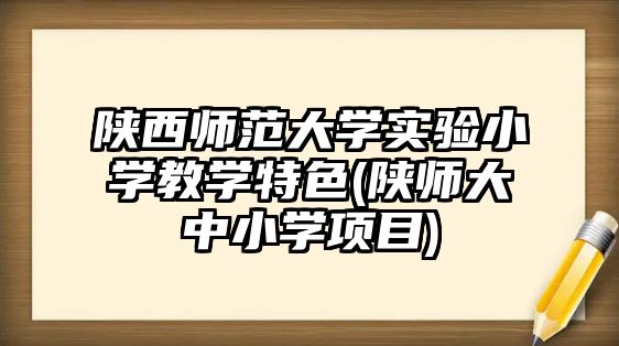 陜西師范大學實驗小學教學特色(陜師大中小學項目)