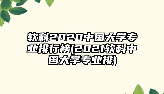 軟科2020中國(guó)大學(xué)專業(yè)排行榜(2021軟科中國(guó)大學(xué)專業(yè)排)