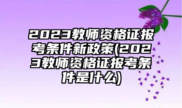 2023教師資格證報考條件新政策(2023教師資格證報考條件是什么)