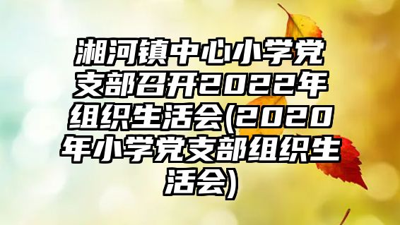 湘河鎮(zhèn)中心小學(xué)黨支部召開2022年組織生活會(2020年小學(xué)黨支部組織生活會)