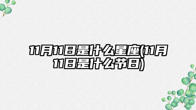 11月11日是什么星座(11月11日是什么節(jié)日)