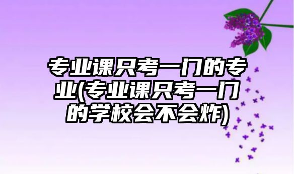 專業(yè)課只考一門的專業(yè)(專業(yè)課只考一門的學校會不會炸)