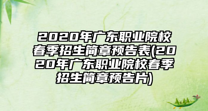 2020年廣東職業(yè)院校春季招生簡章預(yù)告表(2020年廣東職業(yè)院校春季招生簡章預(yù)告片)