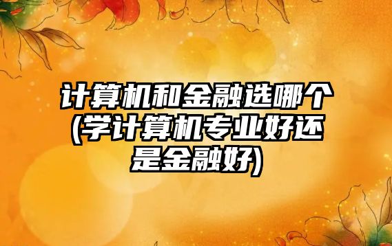 計算機和金融選哪個(學計算機專業(yè)好還是金融好)