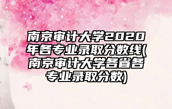 南京審計大學2020年各專業(yè)錄取分數線(南京審計大學各省各專業(yè)錄取分數)