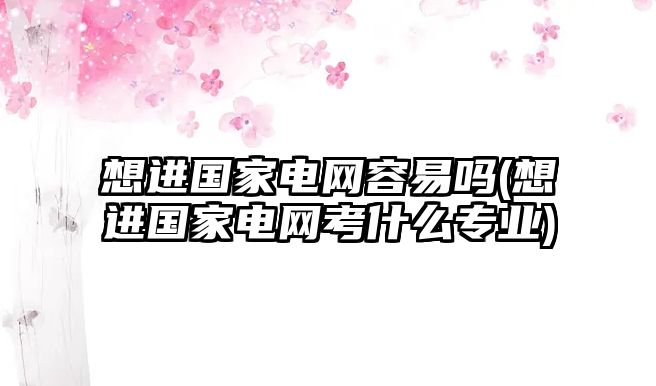 想進(jìn)國家電網(wǎng)容易嗎(想進(jìn)國家電網(wǎng)考什么專業(yè))