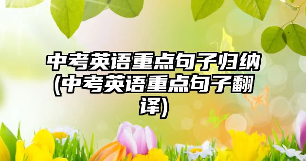 中考英語重點句子歸納(中考英語重點句子翻譯)