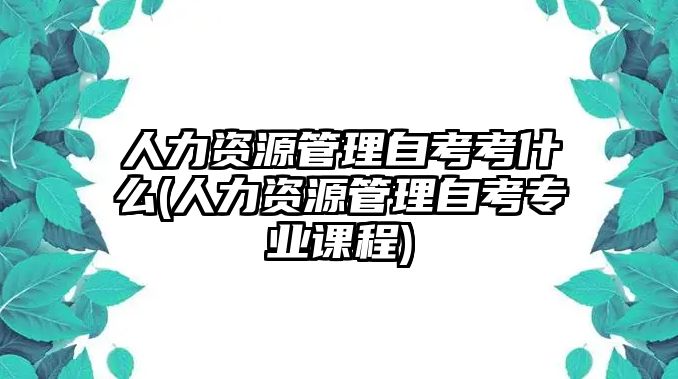 人力資源管理自考考什么(人力資源管理自考專業(yè)課程)