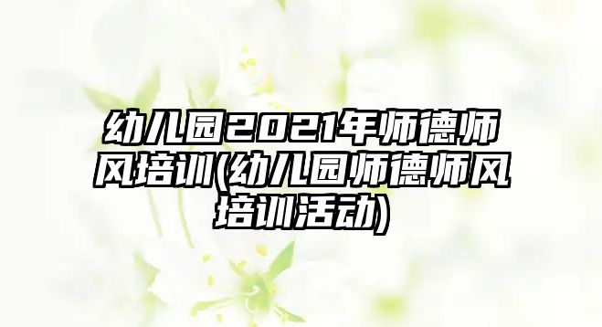 幼兒園2021年師德師風培訓(xùn)(幼兒園師德師風培訓(xùn)活動)