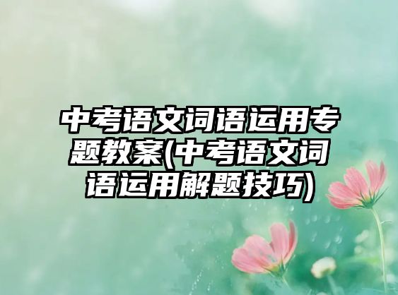 中考語文詞語運用專題教案(中考語文詞語運用解題技巧)