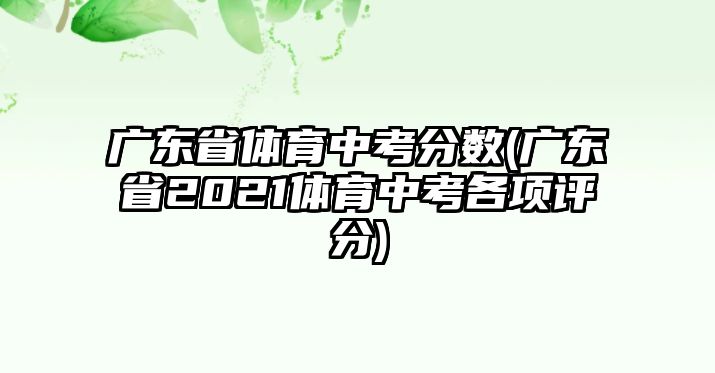 廣東省體育中考分?jǐn)?shù)(廣東省2021體育中考各項(xiàng)評分)