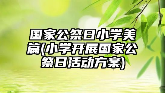 國(guó)家公祭日小學(xué)美篇(小學(xué)開(kāi)展國(guó)家公祭日活動(dòng)方案)