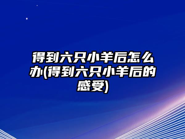 得到六只小羊后怎么辦(得到六只小羊后的感受)