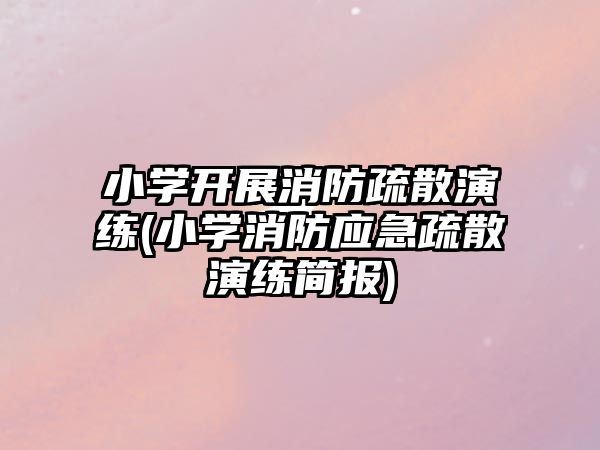 小學開展消防疏散演練(小學消防應(yīng)急疏散演練簡報)