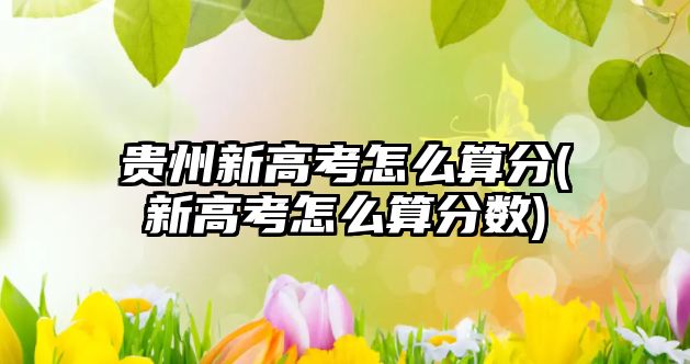 貴州新高考怎么算分(新高考怎么算分數(shù))