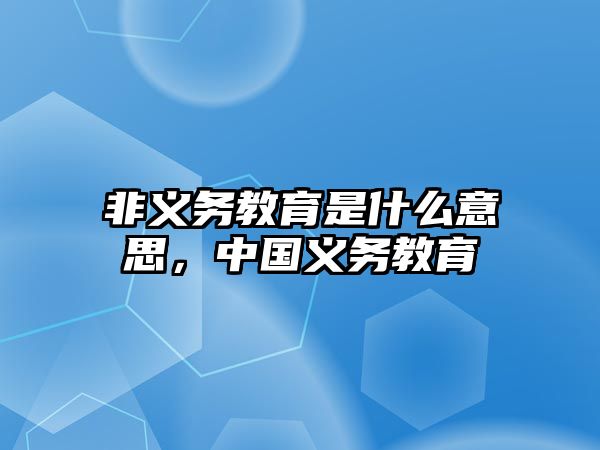 非義務教育是什么意思，中國義務教育